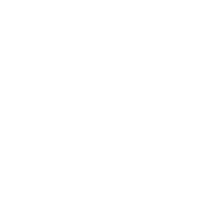 VPL Logo